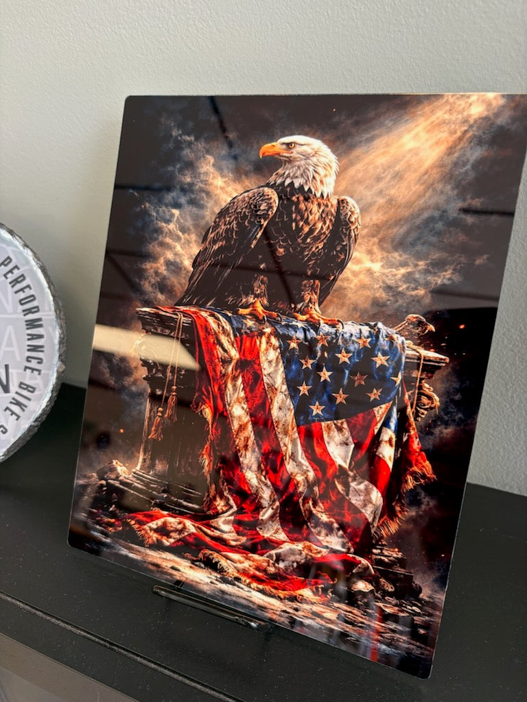 Eagle and Flag Metal Art Sign 8x10