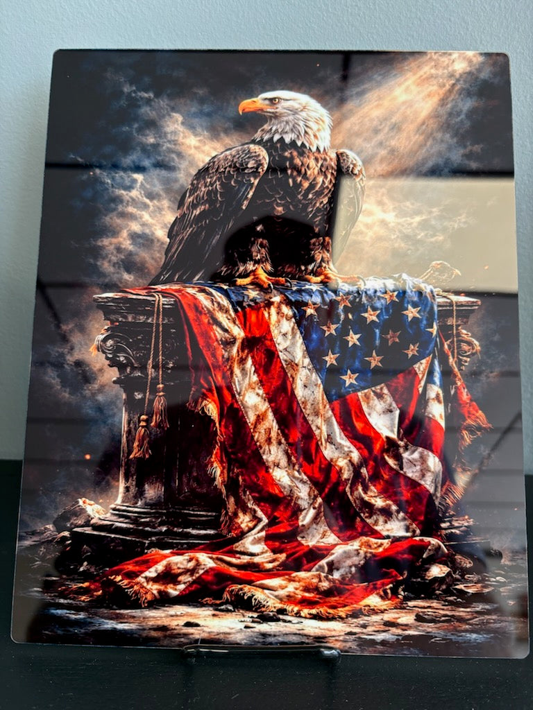 Eagle and Flag Metal Art Sign 8x10