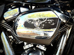 Black and White Seductress Air Filter Cover Insert – Fits 2017–2025 Harley Touring Models